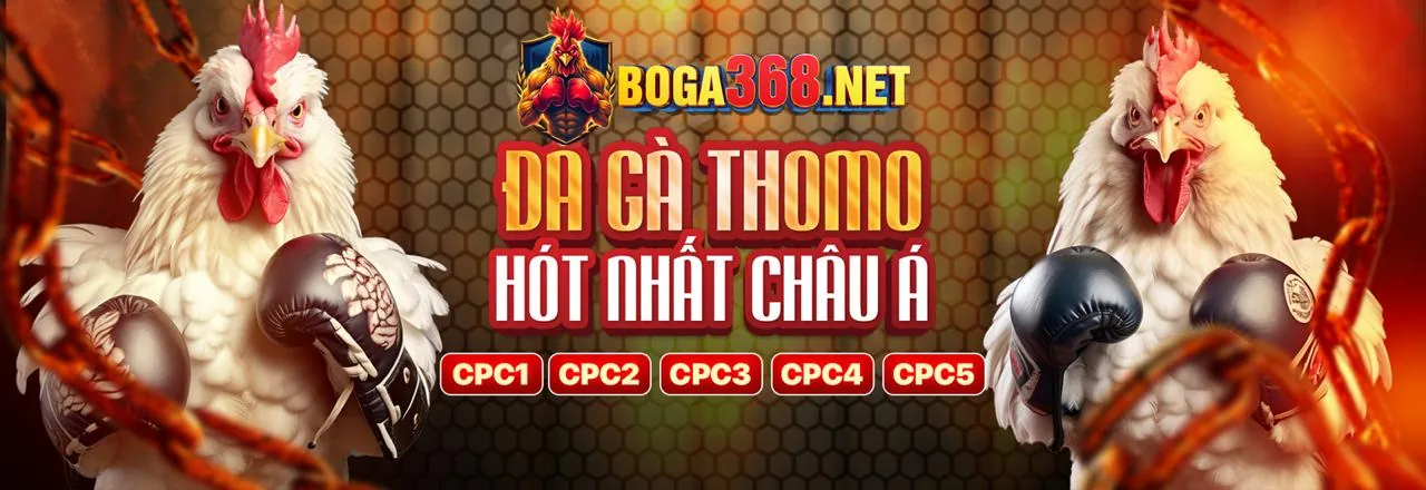 Đá gà trực tuyến kịch tính tại app đăng ký nhận 58k